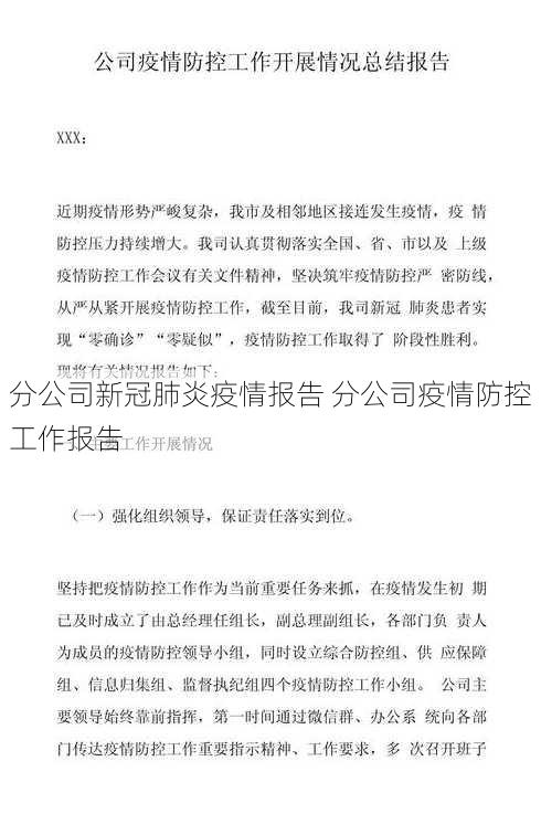 分公司新冠肺炎疫情报告 分公司疫情防控工作报告