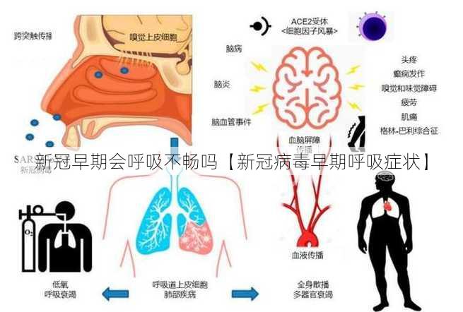 新冠早期会呼吸不畅吗【新冠病毒早期呼吸症状】