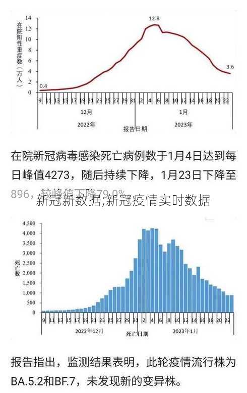 新冠新数据;新冠疫情实时数据