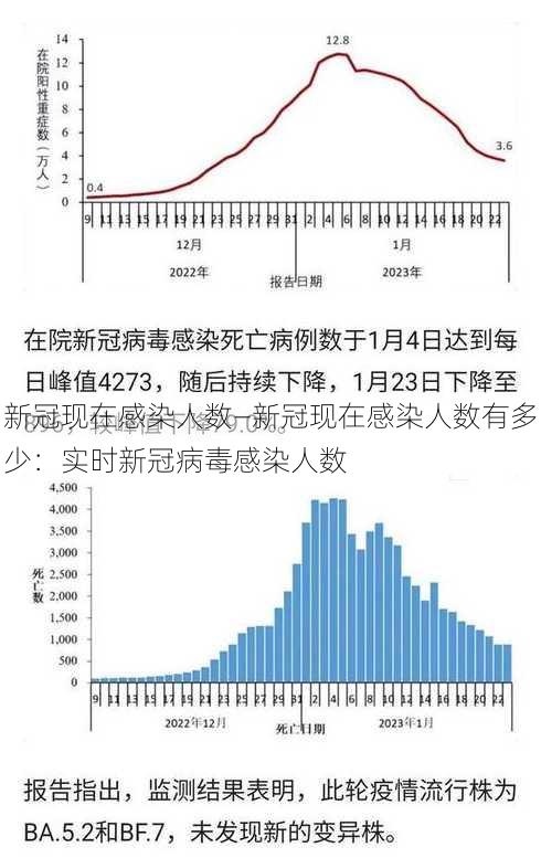 新冠现在感染人数—新冠现在感染人数有多少：实时新冠病毒感染人数