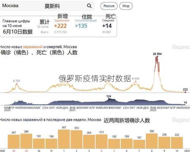 俄罗斯疫情实时数据