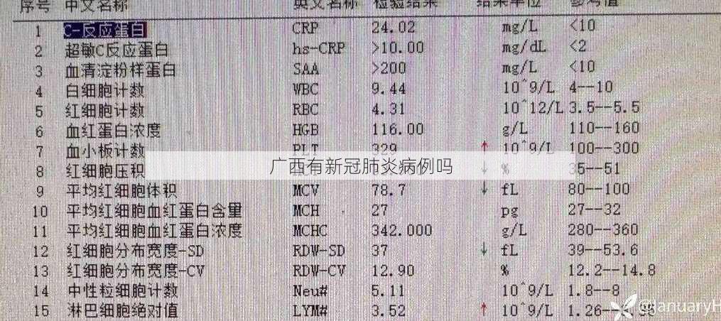 广西有新冠肺炎病例吗