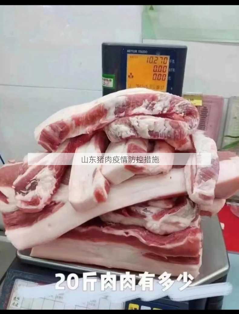 山东猪肉疫情防控措施