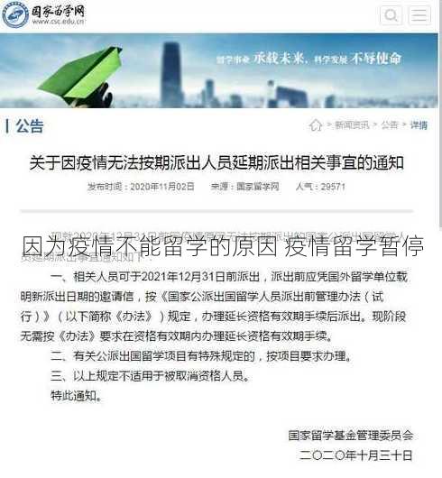 因为疫情不能留学的原因 疫情留学暂停