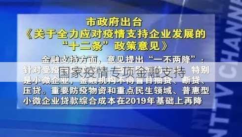 国家疫情专项金融支持