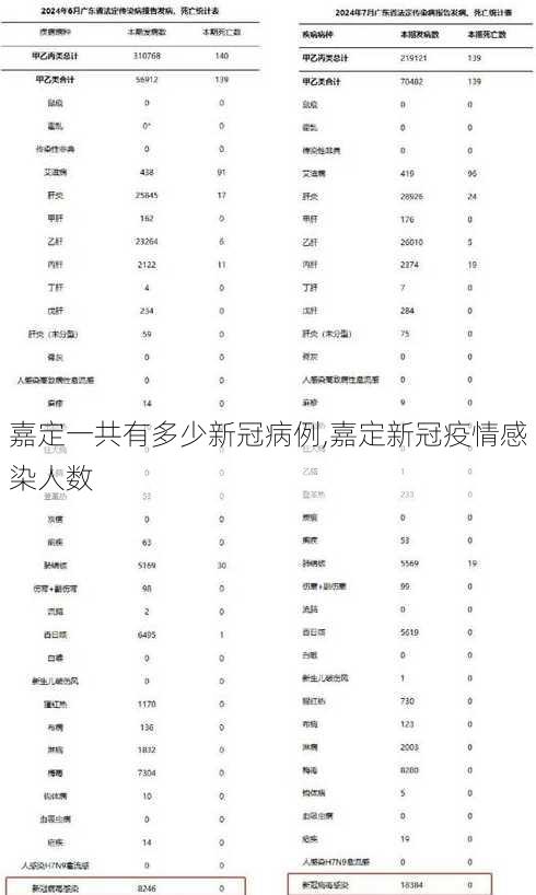 嘉定一共有多少新冠病例,嘉定新冠疫情感染人数