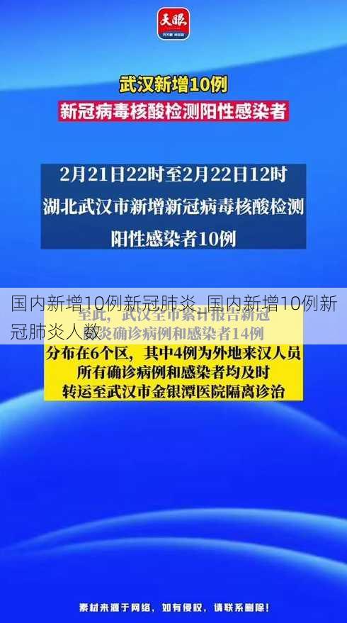 国内新增10例新冠肺炎_国内新增10例新冠肺炎人数