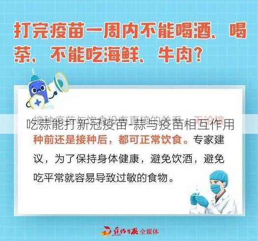 吃蒜能打新冠疫苗-蒜与疫苗相互作用