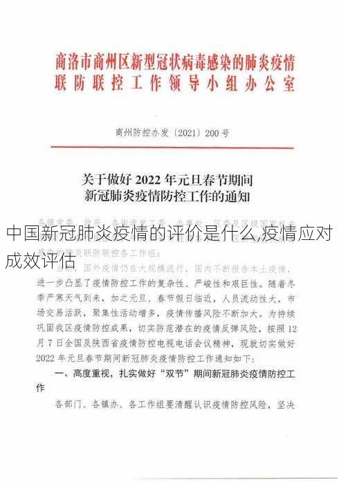 中国新冠肺炎疫情的评价是什么,疫情应对成效评估