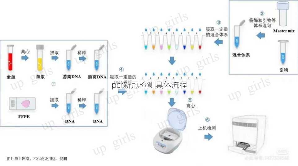 pcr新冠检测具体流程