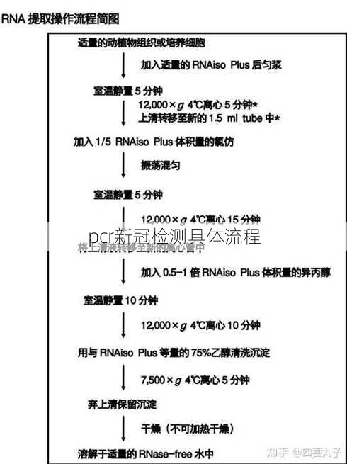 pcr新冠检测具体流程