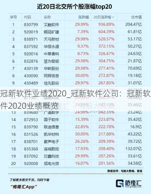 冠新软件业绩2020_冠新软件公司：冠新软件2020业绩概览