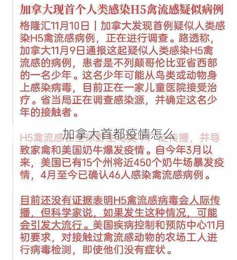 加拿大首都疫情怎么