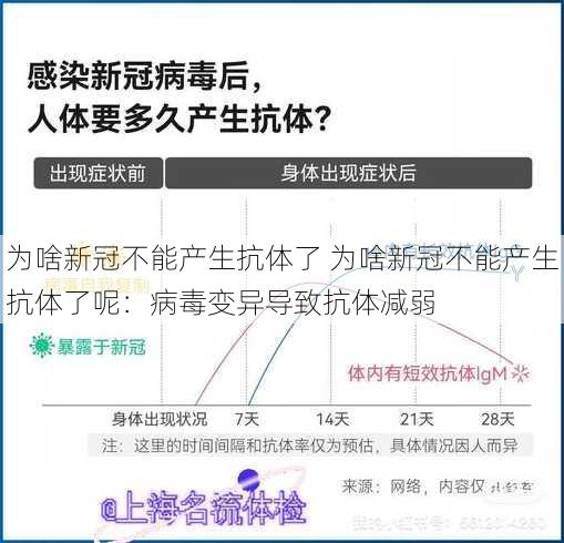 为啥新冠不能产生抗体了 为啥新冠不能产生抗体了呢：病毒变异导致抗体减弱