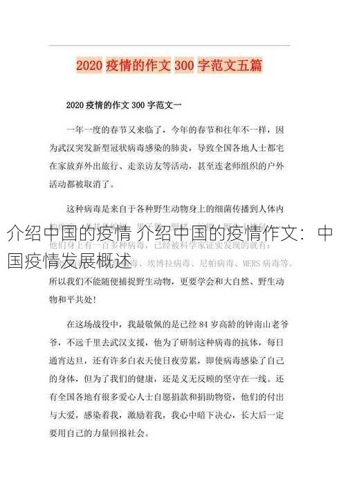 介绍中国的疫情 介绍中国的疫情作文：中国疫情发展概述