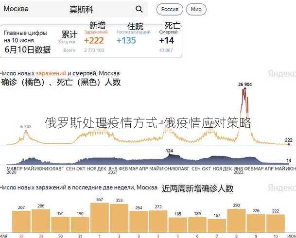 俄罗斯处理疫情方式-俄疫情应对策略