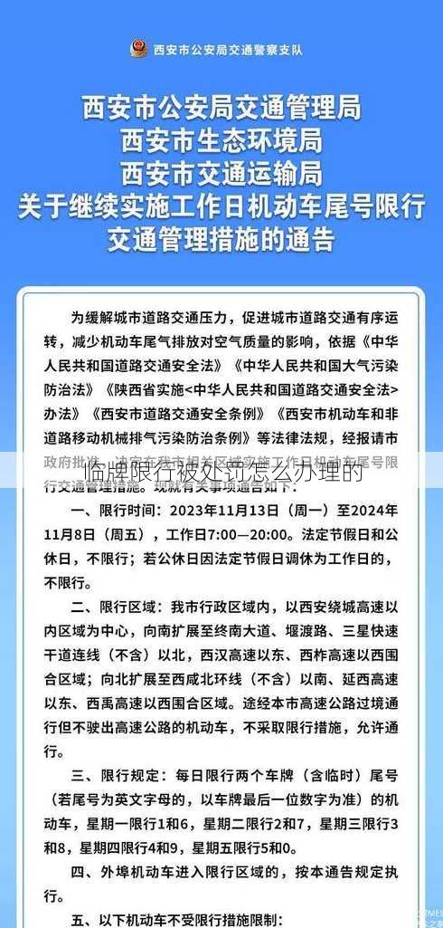 临牌限行被处罚怎么办理的