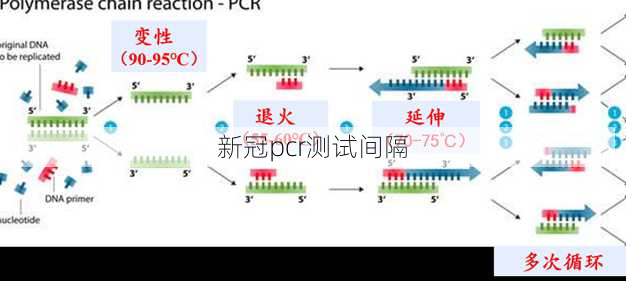 新冠pcr测试间隔