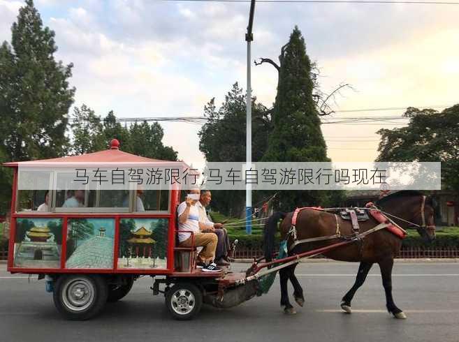 马车自驾游限行;马车自驾游限行吗现在