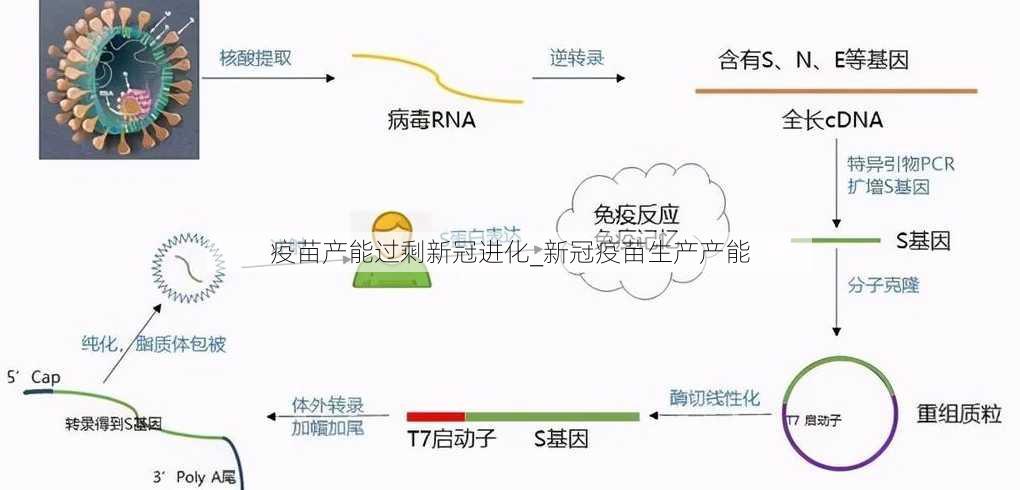 疫苗产能过剩新冠进化_新冠疫苗生产产能