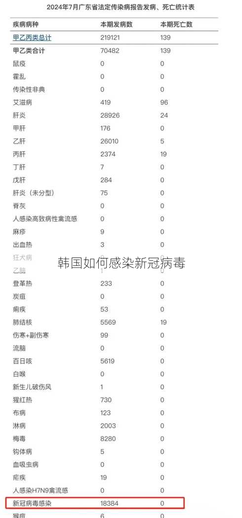 韩国如何感染新冠病毒