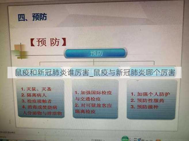 鼠疫和新冠肺炎谁厉害_鼠疫与新冠肺炎哪个厉害