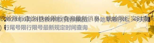 铁岭限行查询(铁岭限行查询最新消息：铁岭限行实时查询)