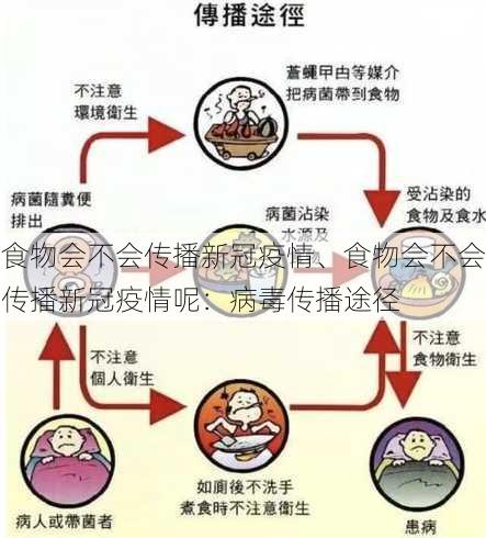 食物会不会传播新冠疫情、食物会不会传播新冠疫情呢：病毒传播途径