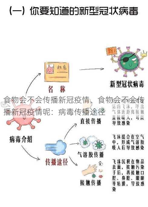 食物会不会传播新冠疫情、食物会不会传播新冠疫情呢：病毒传播途径