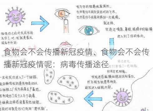 食物会不会传播新冠疫情、食物会不会传播新冠疫情呢：病毒传播途径