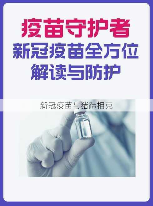 新冠疫苗与猪蹄相克