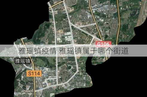 雅瑶镇疫情 雅瑶镇属于哪个街道