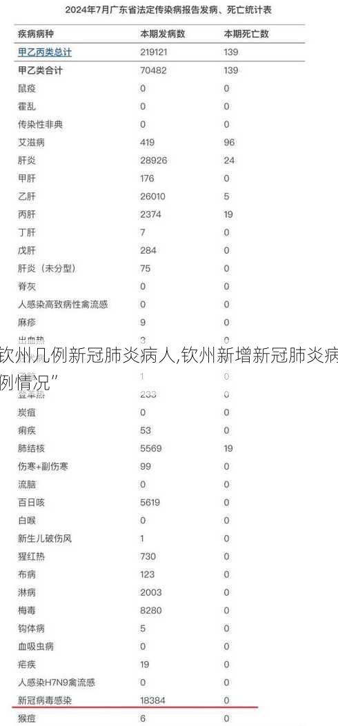 钦州几例新冠肺炎病人,钦州新增新冠肺炎病例情况”