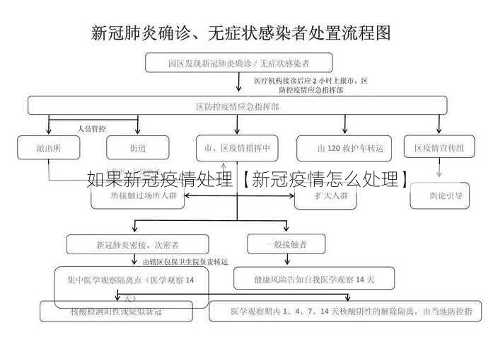 如果新冠疫情处理【新冠疫情怎么处理】