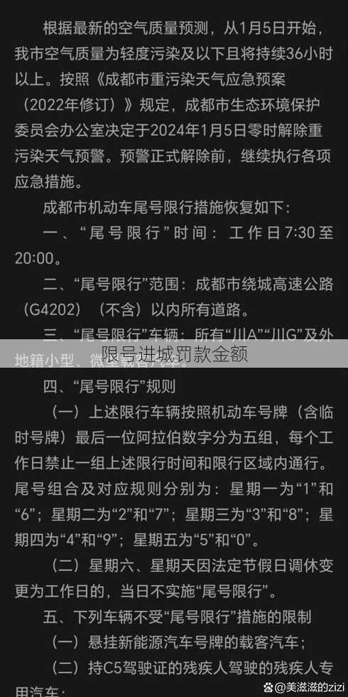 限号进城罚款金额