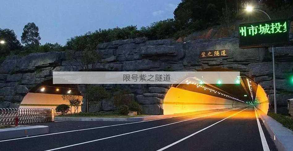 限号紫之隧道