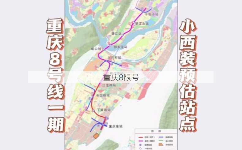 重庆8限号