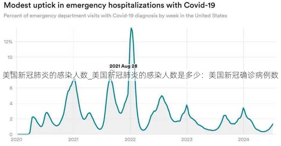 美国新冠肺炎的感染人数_美国新冠肺炎的感染人数是多少：美国新冠确诊病例数