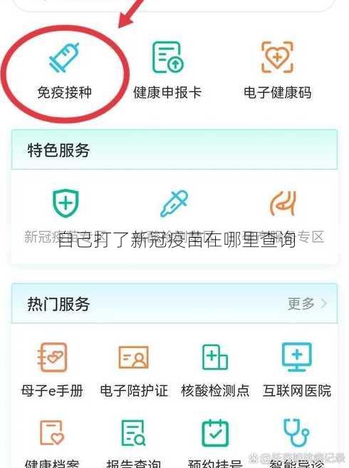 自己打了新冠疫苗在哪里查询