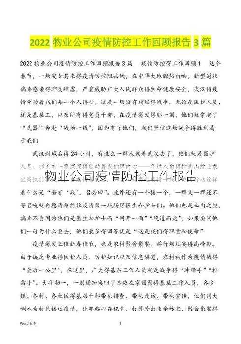 物业公司疫情防控工作报告