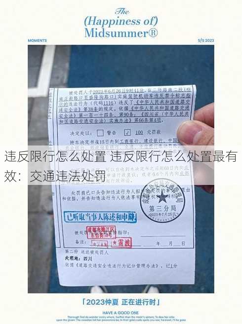 违反限行怎么处置 违反限行怎么处置最有效：交通违法处罚