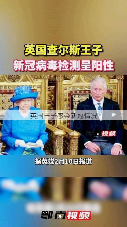 英国王子感染新冠情况