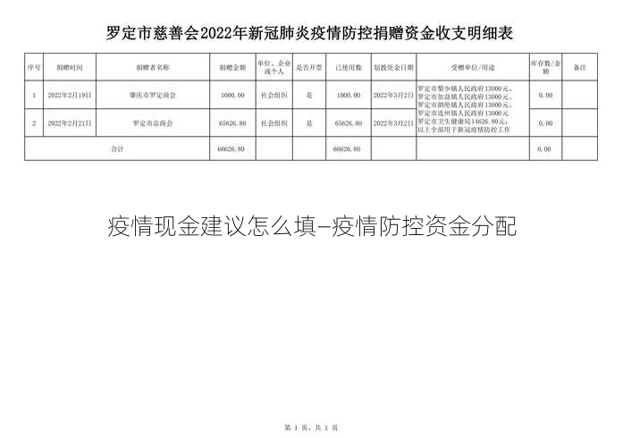 疫情现金建议怎么填—疫情防控资金分配