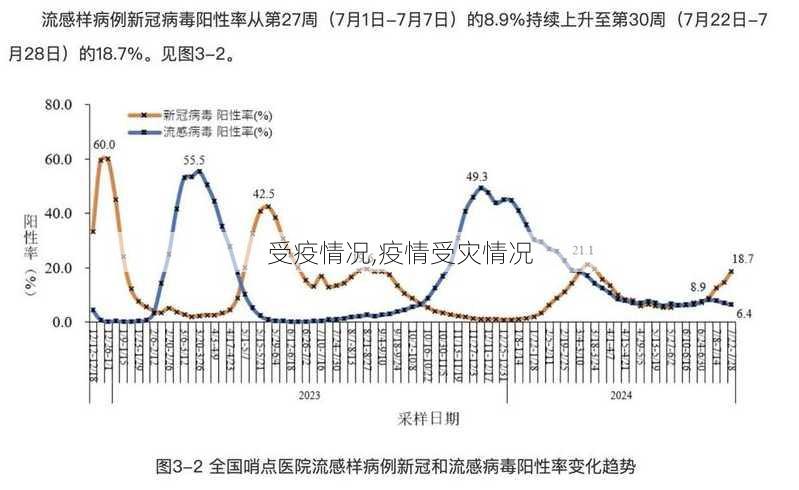 受疫情况,疫情受灾情况