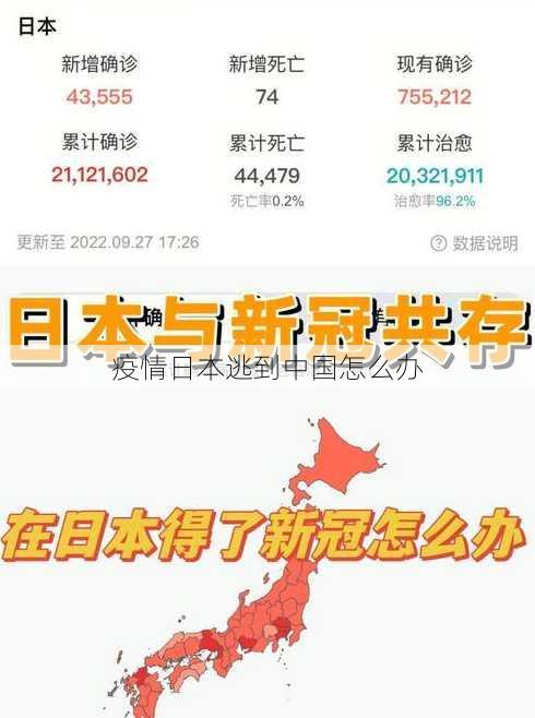 疫情日本逃到中国怎么办