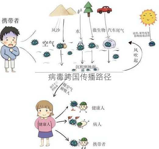 病毒跨国传播路径