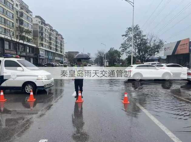 秦皇岛雨天交通管制