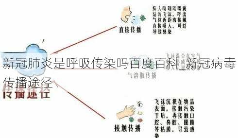 新冠肺炎是呼吸传染吗百度百科_新冠病毒传播途径