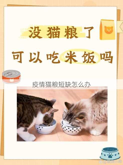 疫情猫粮短缺怎么办