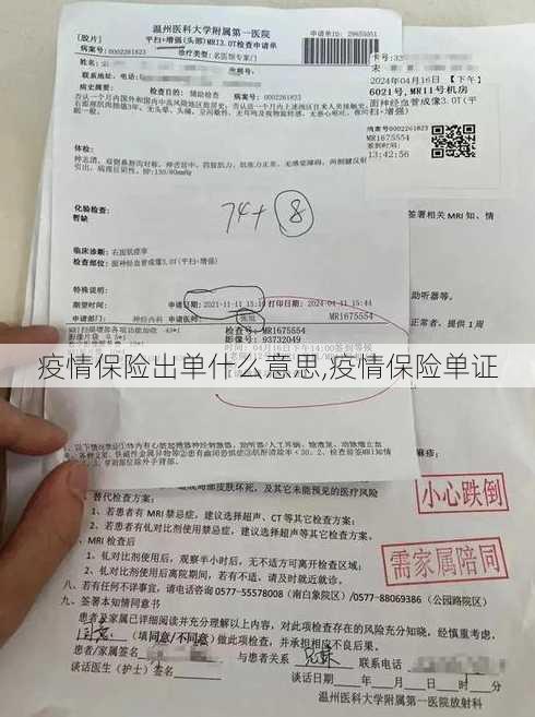 疫情保险出单什么意思,疫情保险单证